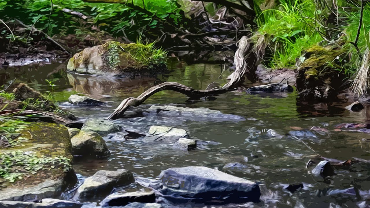 Wasserrauschen von einem ruhigen Bach - Naturger&auml;usche von Wasser und Vogelstimmen im Wald