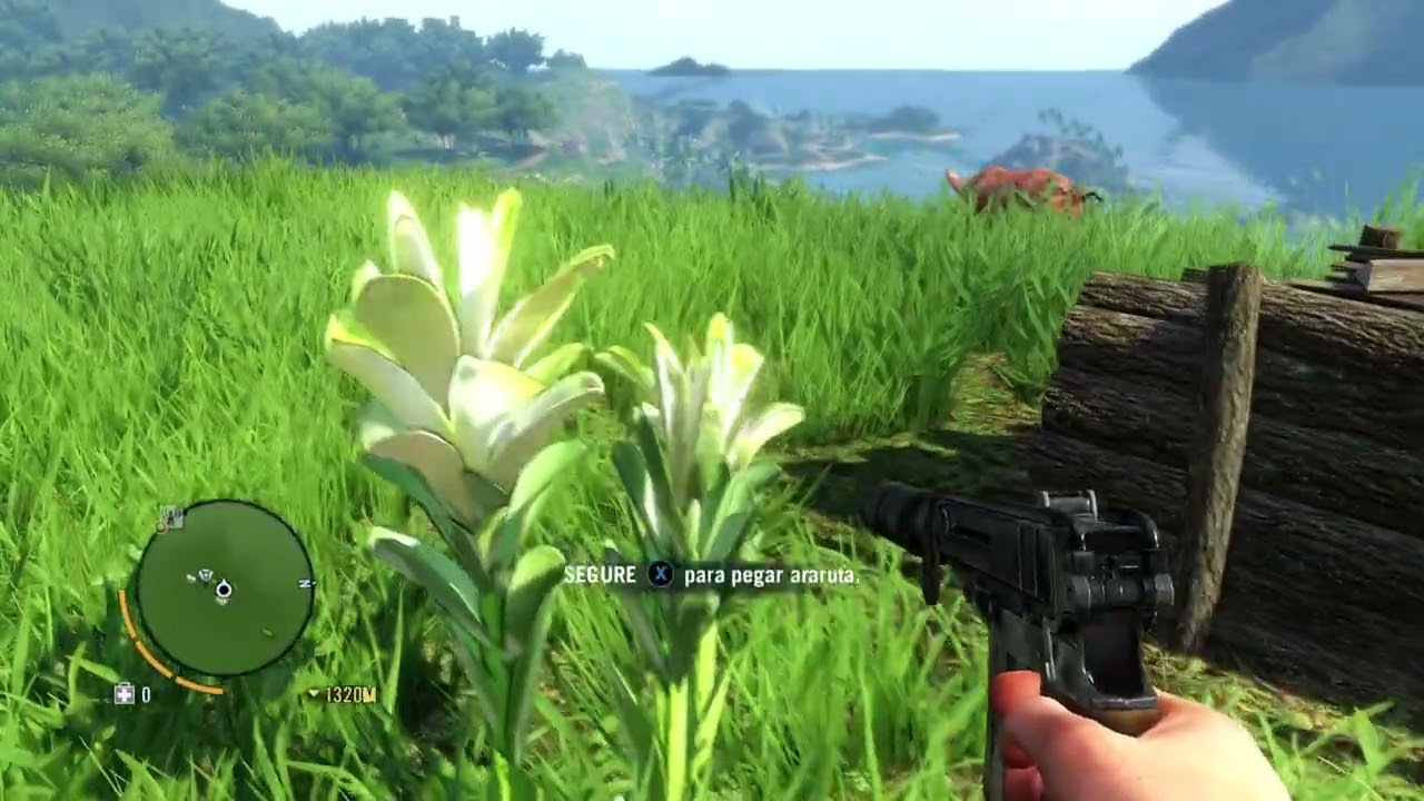Far Cry® 3 Classic Edition Coleta de itens #29