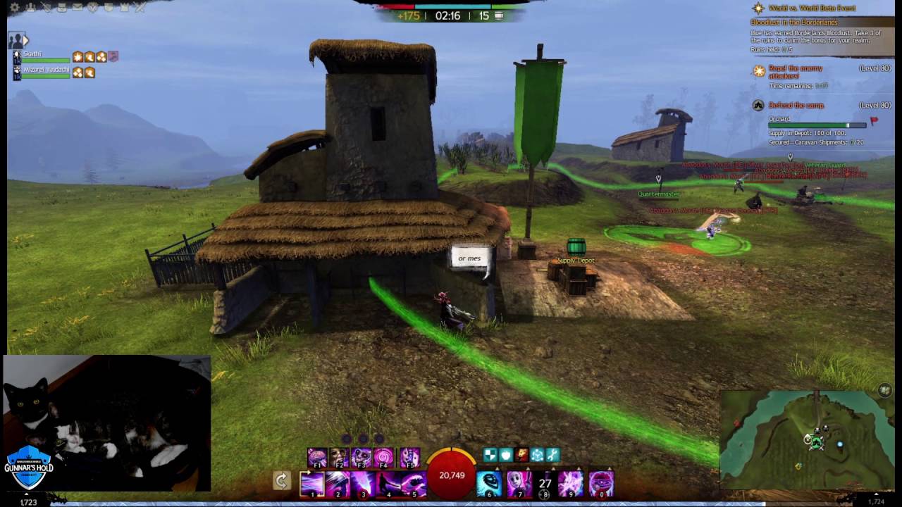 [Gw2] Teamplay 101 - coordination