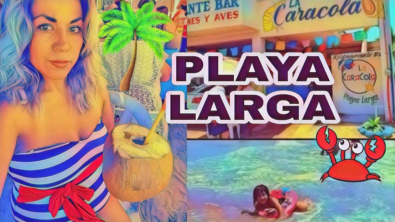 VIAJE A IXTAPA ZIHUATANEJO 2021 (PARTE 1 PLAYA LARGA)