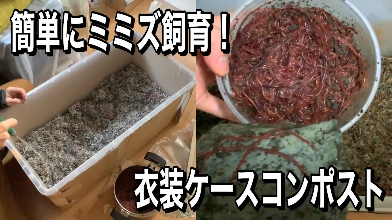 衣装ケースを使えばミミズコンポストを作れます