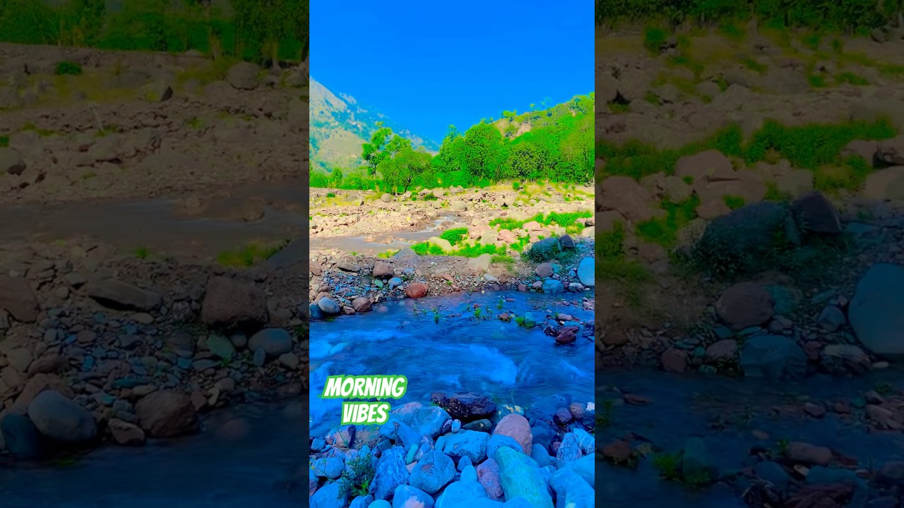 #natureofkashmir#foryoutubeshortsvideopage#enjoymentvideo#originalaudio#follower#followme