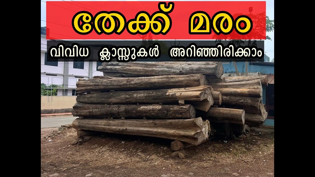 തേക്ക് മരം ഇത്ര തരം  ഉണ്ടായിരുന്നോ ?! Teak Wood Classifications #kerala