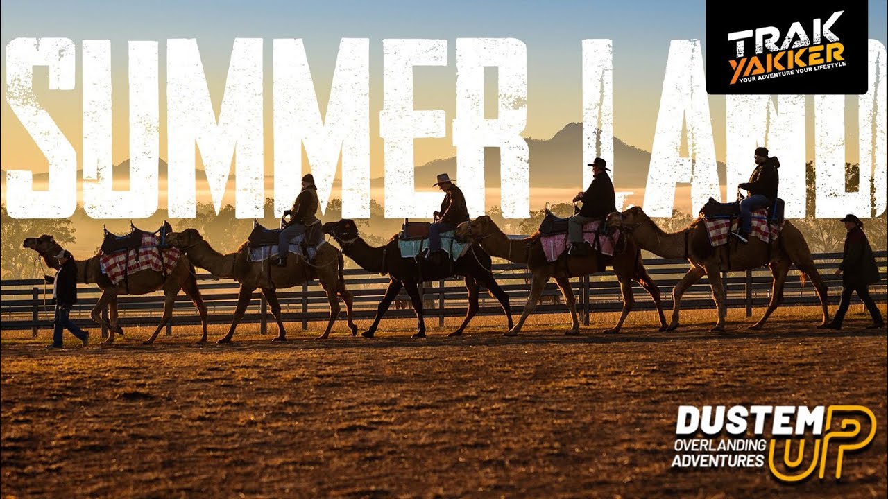 Camels of Summerland