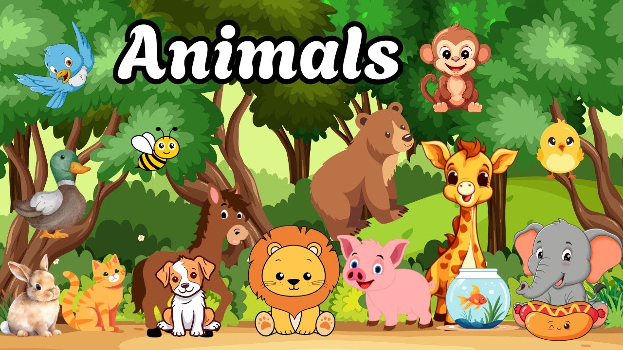 Learn Animals + Quiz