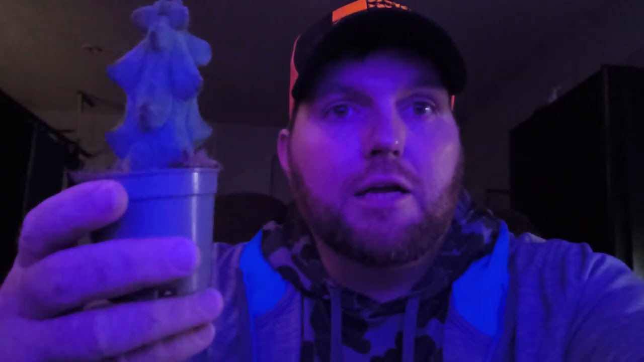First Cactus Heals Man Video about Boobie Cactus