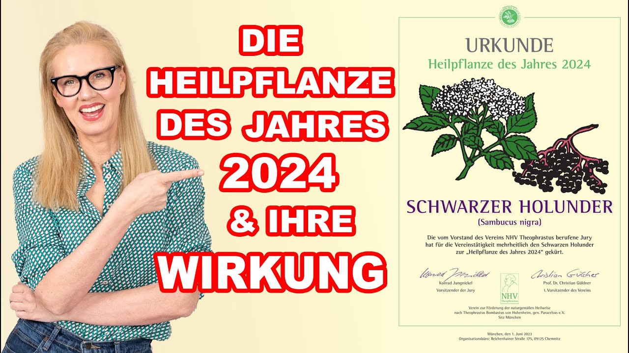 Heilpflanze des Jahres 2024 ➡️ WER hätte das gedacht❓Gesundheit direkt vom Baum ✅ es ist offiziell
