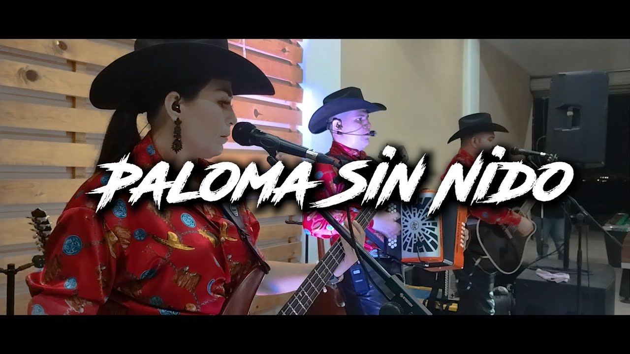 Paloma Sin Nido - En Vivo