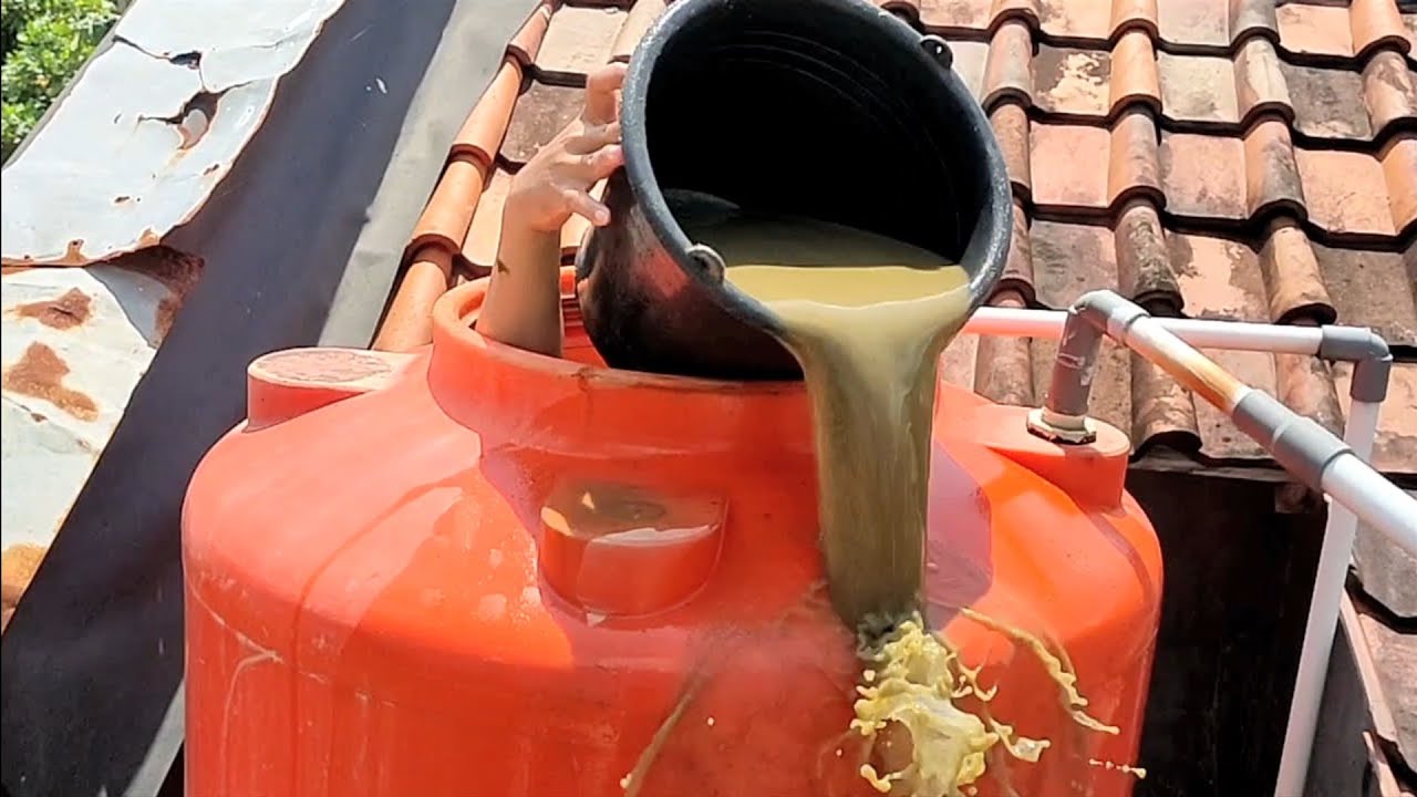Menguras dan Membersihkan Toren / Tandon / Penampungan Air || PENGUIN TB55 Kapasitas 520 liter