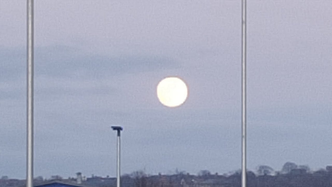 Moon on a branch