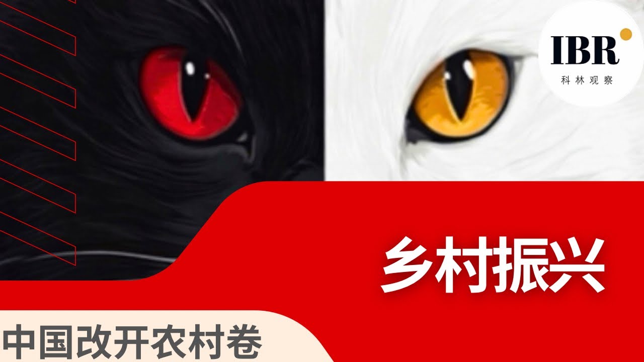 被使用的土地 第六卷｜乡村振兴：谁的振兴？