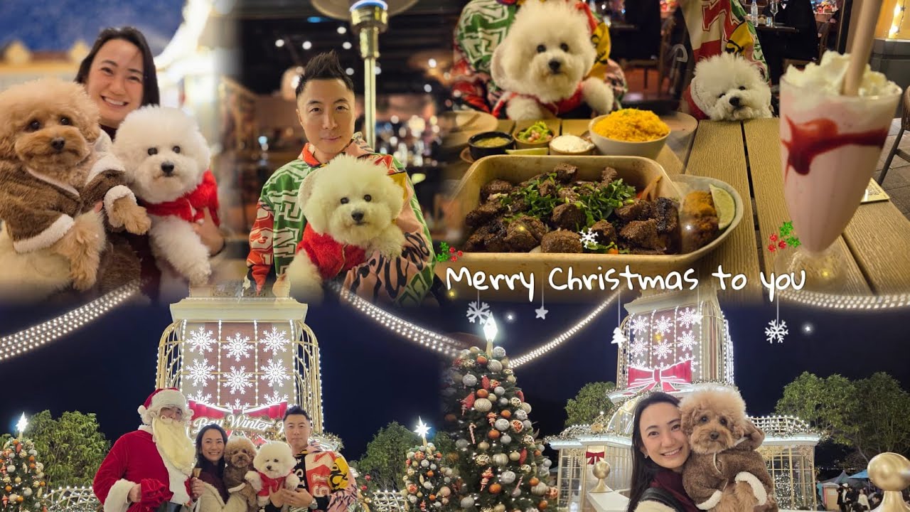 香港最美的歐陸小鎮渡過浪漫聖誕節🎄🎁【小腳掌大世界🐾】