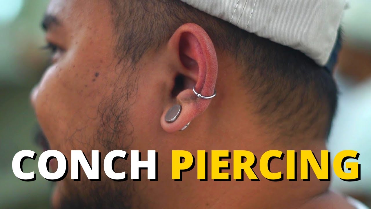 Conch Piercing | INDONESIA #1 PIERCING SHOP | piercingindonesia.com