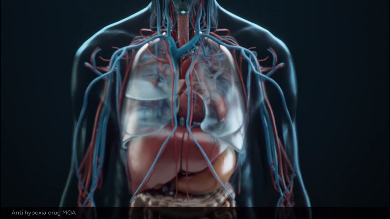 Visual Science Short Medical Reel &mdash; Early 2017