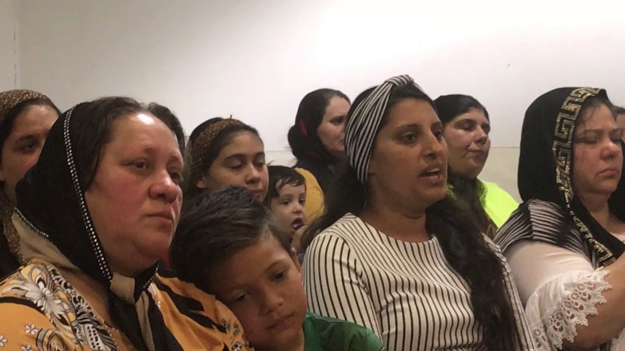 Cinoi - Isus e medicul meu 2017