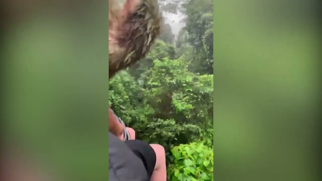 Perezoso frena tour en Canopy de niño en La Fortuna