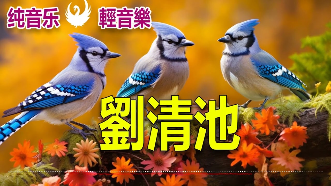 劉清池 👍 太美了 👍 雷射音樂現場演奏 精選懷念旋律 高音質！超立體動向音樂 🎶超級環繞音樂 懷念音樂演奏 杜比環繞音效錄製 Relaxing Chinese