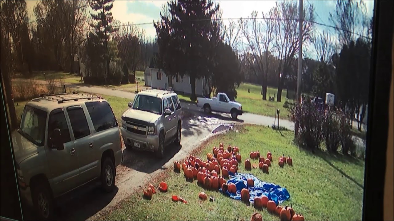 Chicken Theft, Waterloo, Iowa Nov. 4, 2019