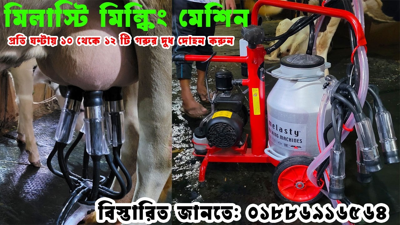 আধুনিক খামারের মিল্কিং মেশিন |গরুর দুধ দোহানো মেশিন  | Cow milking machine price in Bangladesh I