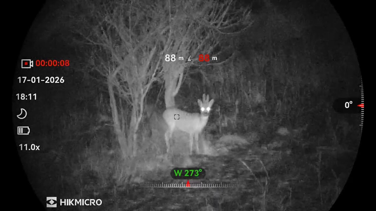 Hikmicro Habrok 4k HE25LN Barkában.