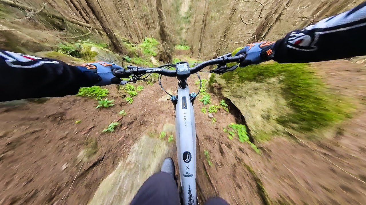 Harz Exploring 2023 | Insta360 x3 | Giant Reign e+1 | eMTB Harz Tour