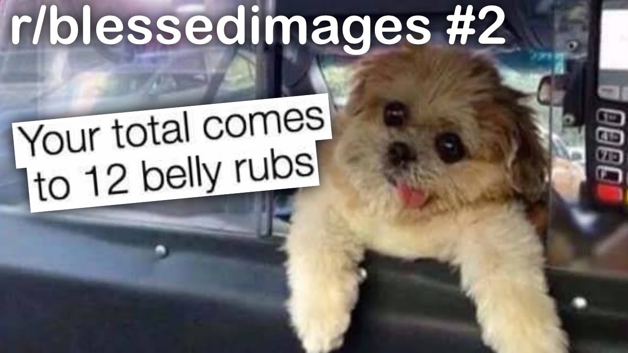 r/blessedimages Best Posts #2
