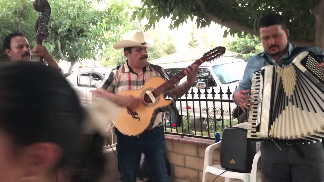 CLAVEL DE PRIMAVERA LOS NUEVOS NORTEÑOS DE DURANGO