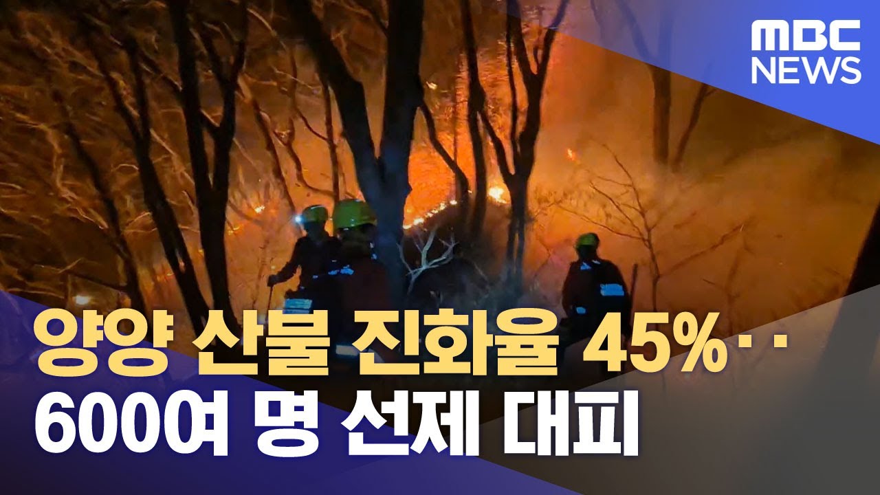 양양 산불 진화율 45%‥600여 명 선제 대피 (2025.11.23/뉴스투데이/MBC)