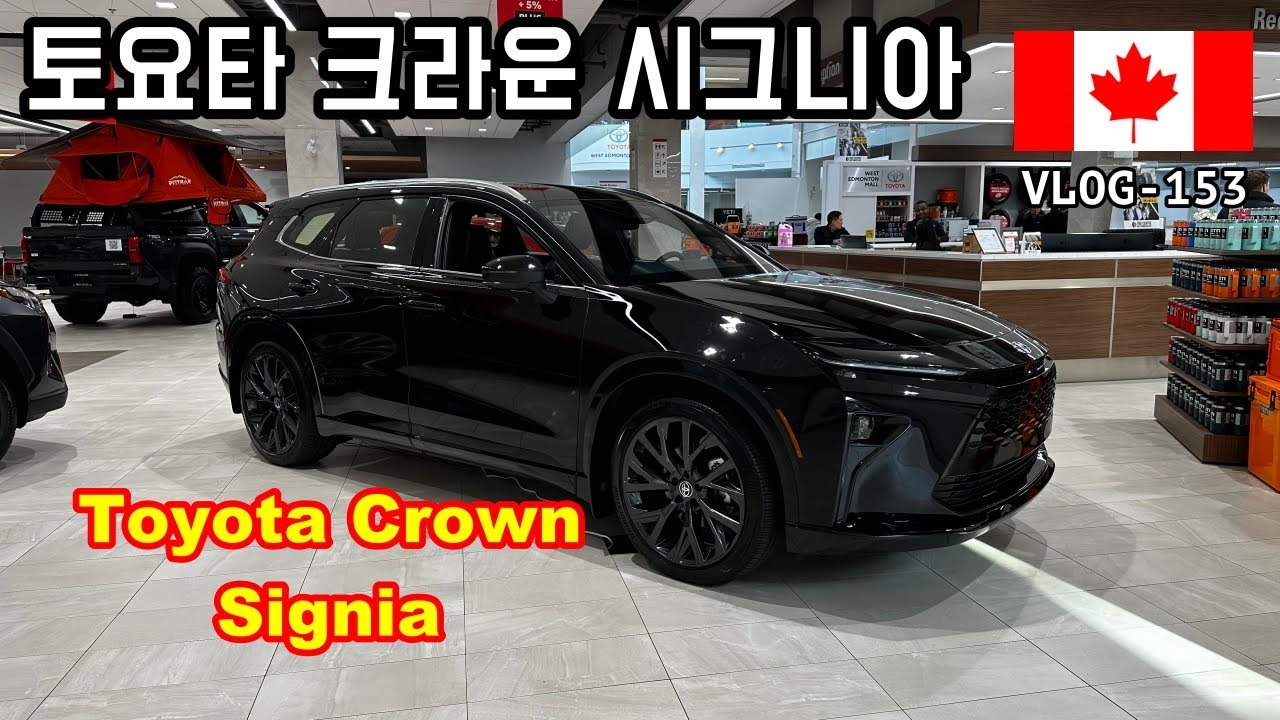 [🇨🇦자동차 브이로그_154] | 토요타 크라운 시그니아를 보고 왔습니다.