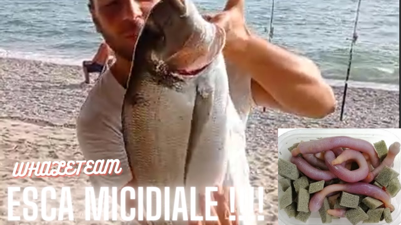 UNA DELLE MIE ESCHE SEGRETE , COME CONSERVARE IL BIBI !!!