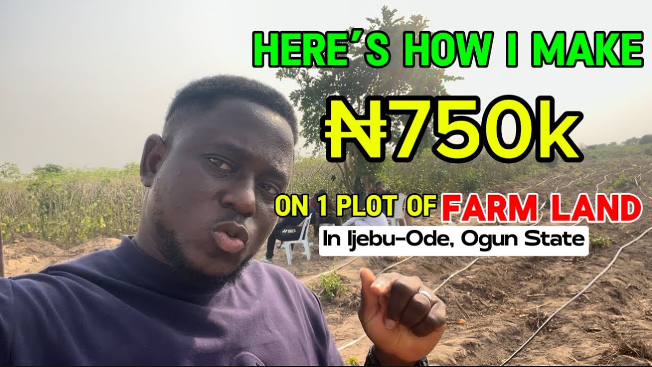 Farmland Investment In Ijebu-Ode, Ogun State | Zara Farm