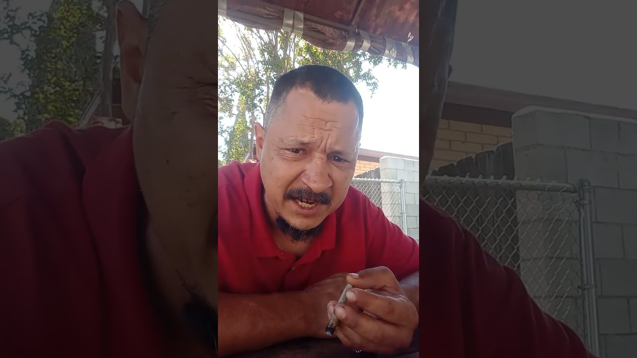 Amnesia Haze strain review.