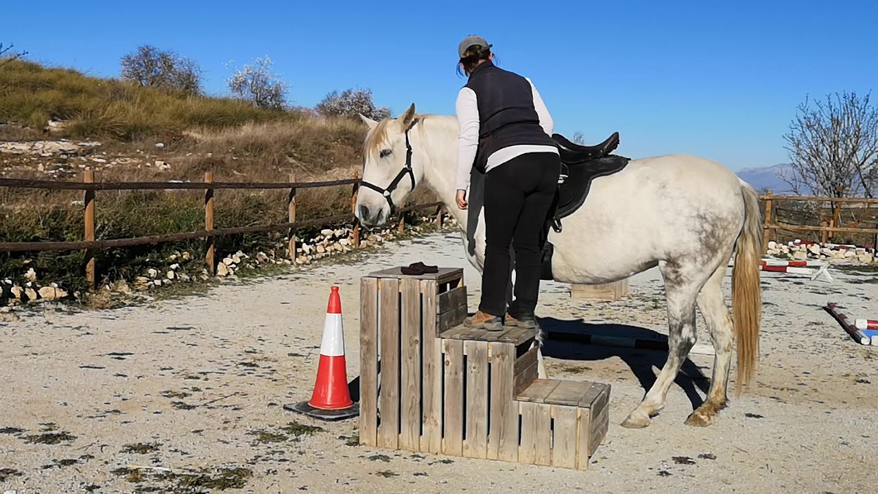 How to Re-Start our Rescue Mare Leo