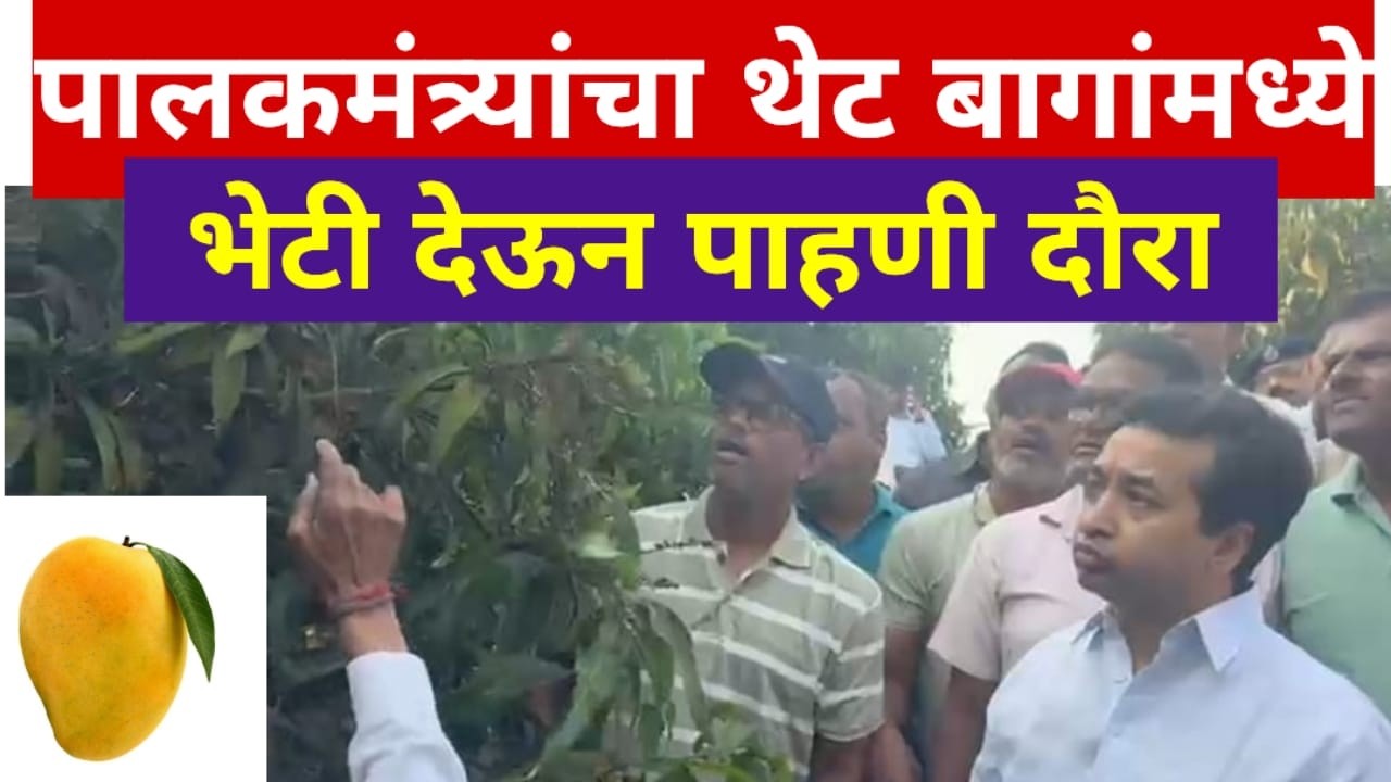 पालकमंत्री नुकसान पाहण्यासाठी थेट आंबा बागायतदारांच्या बागेत!