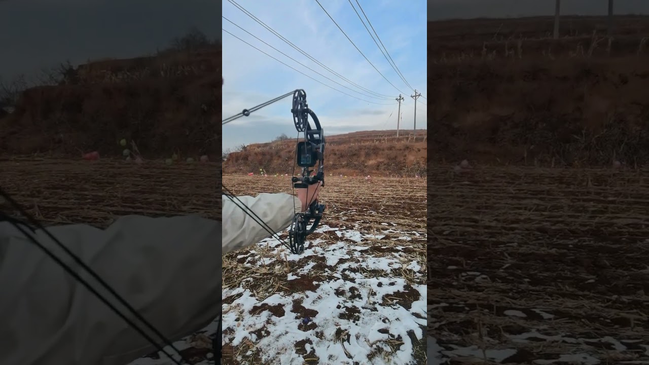 How accurate is a dual-purpose compound bow at 40 meters? 