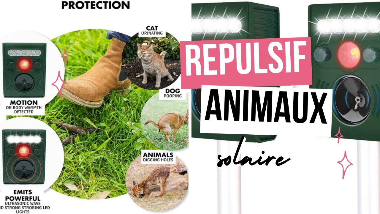 Répulsif solaire pour animaux (chats, chiens, taupes...)
