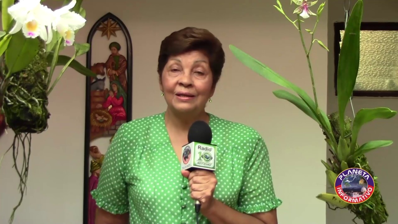 ORQUÍDEAS BEATRIZ VÁSQUEZ PALACIOS