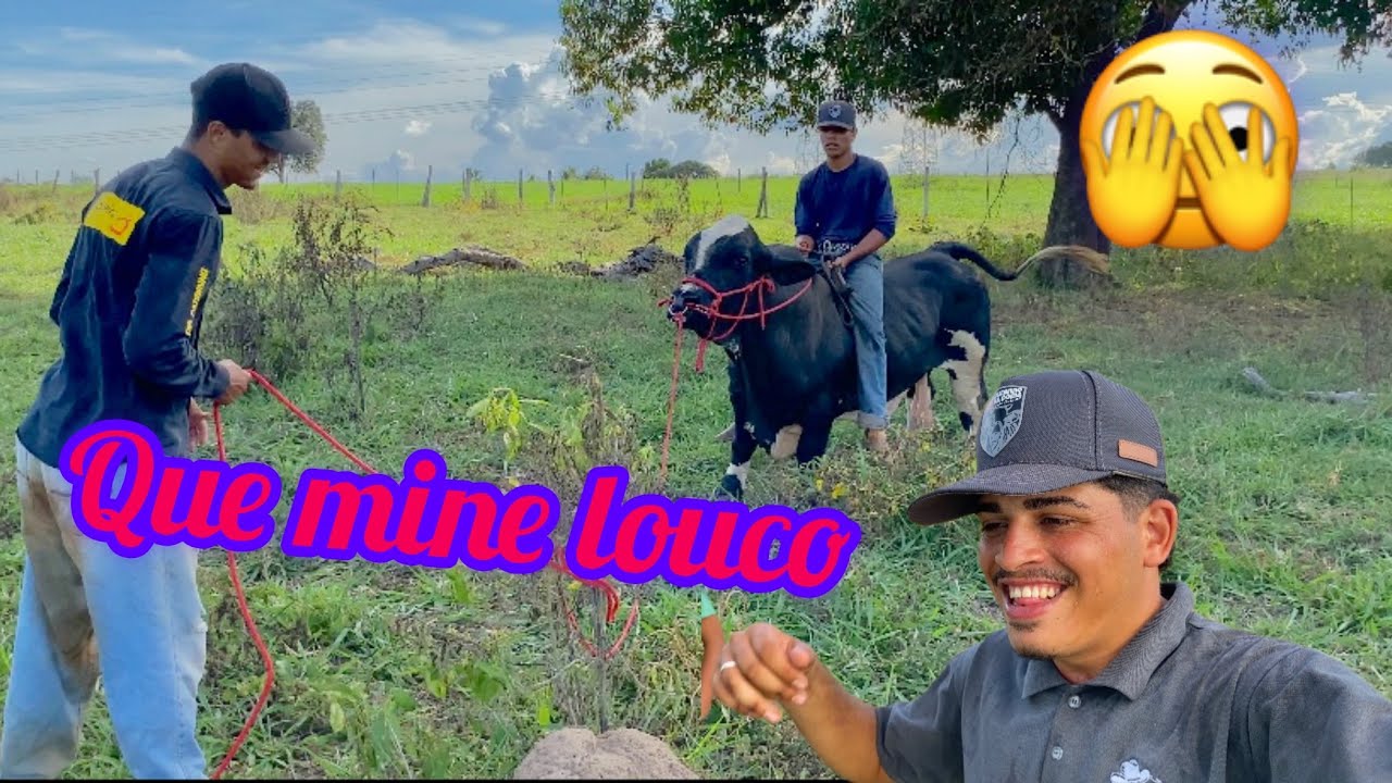 Saindo pro pasto montado no mine BOI 🤠