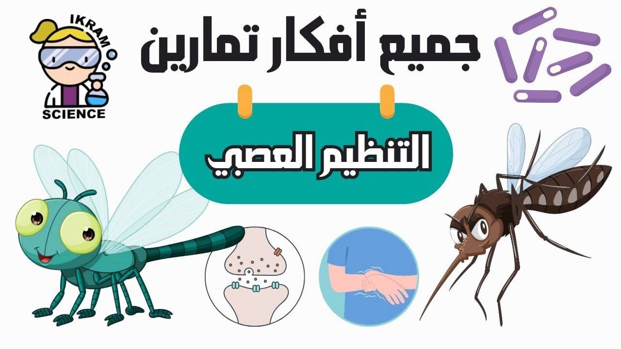 أفكار تمارين التنظيم العصبي 😎 ثانية ثانوي شعبة علوم تجريبية راجع للفرض 😍✅