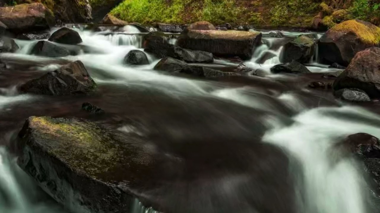 Gentle Stream Sounds | Relaxing Stream Sounds use for Relaxation, Meditation, Spa, Sleep, insomnia