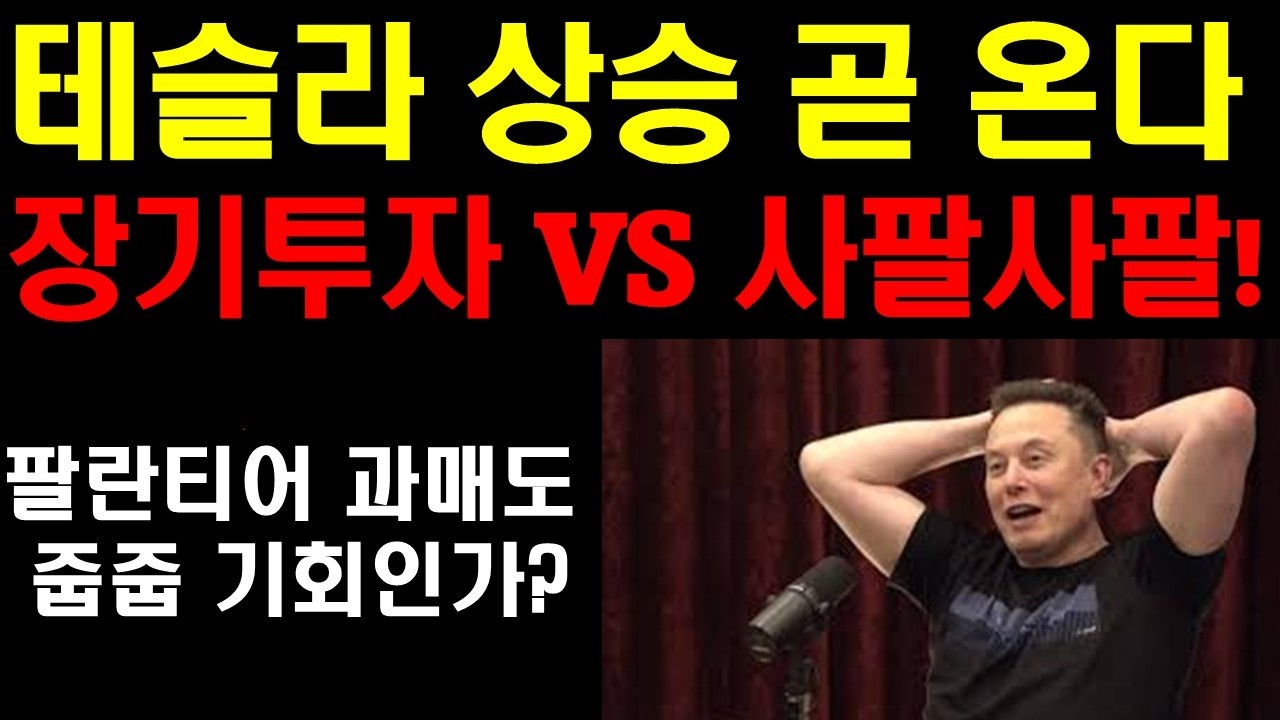 테슬라 대상승 곧 온다! 테슬라의 장기투자 vs 사팔사팔 승자는? 팔란티어 과매도 구간. 더 떨어질까? 줍줍해야하나? 엔비디아 200불 돌파 곧 온다! 새로운 연준의장 바뀌면