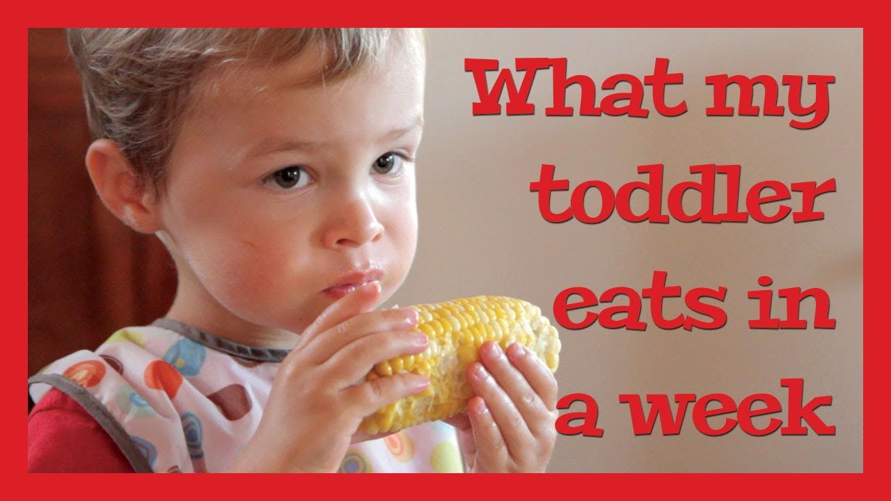 What My Toddler Eats in a Week