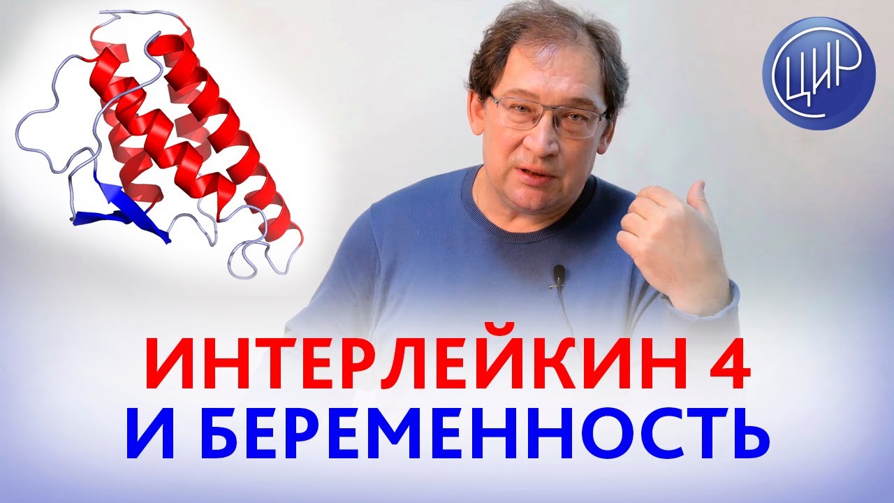 Интерлейкин 4. Полиморфизмы интерлейкина 4, беременность и склонность к аутоиммунным процессам.