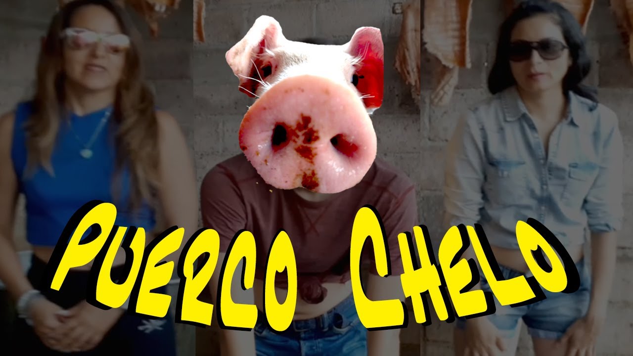 Puerco Chelo- Insulini ft. Guaro (Official video) REGGAETON 2020