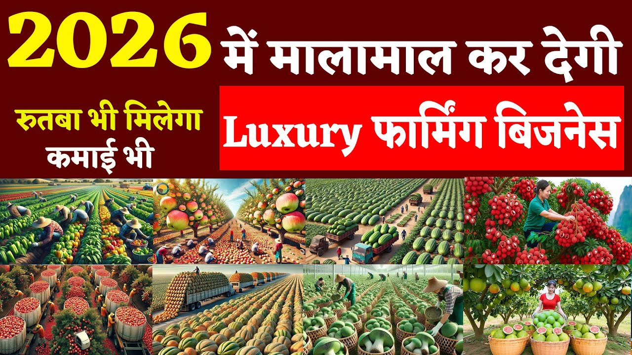 Luxury Farming Business 2026 | New Small Farming Business Ideas #businessideas