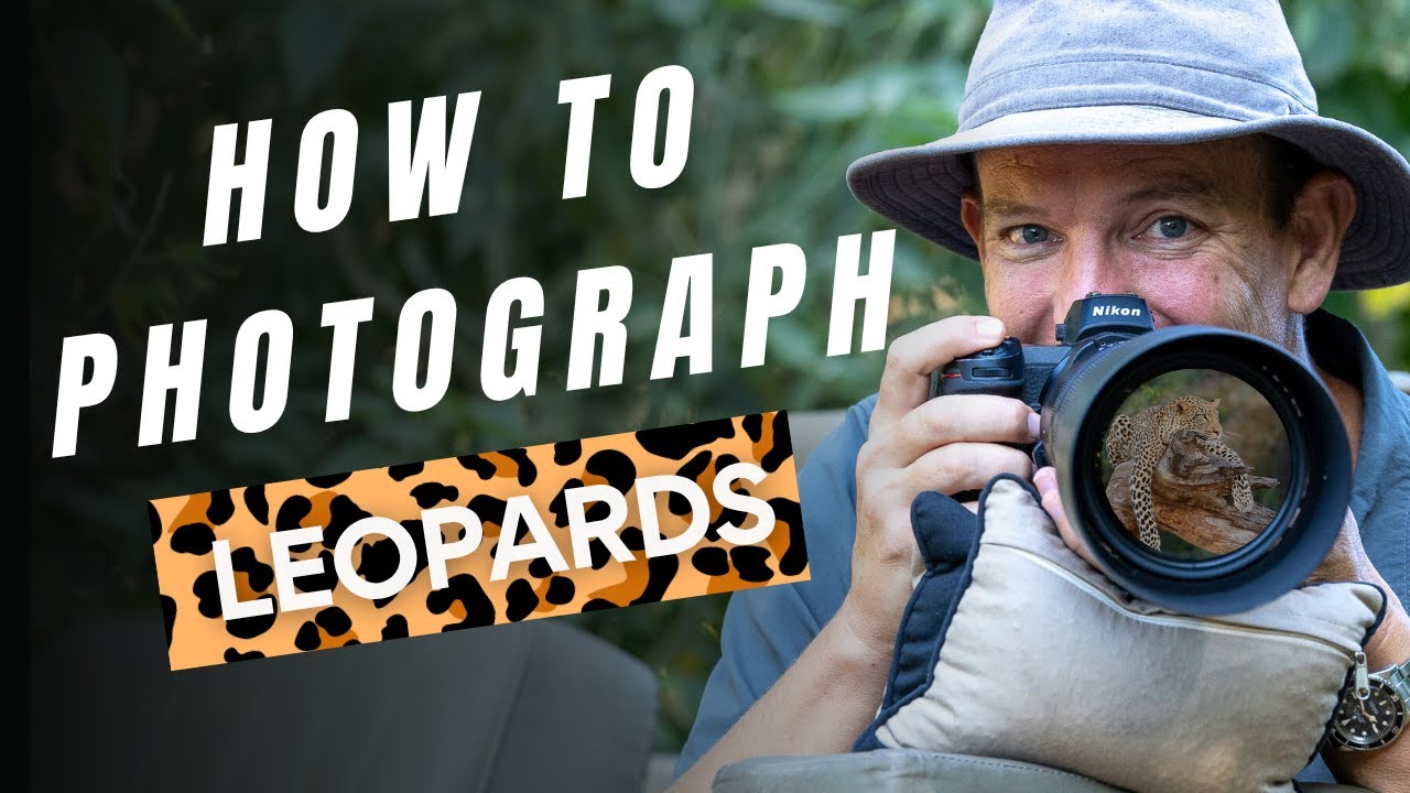 Как фотографировать леопардов