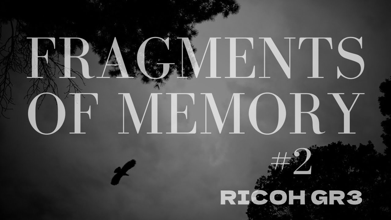 Fragments of Memory #2 - Tokyo(2022) Japan street photography (RICOH GR3)
