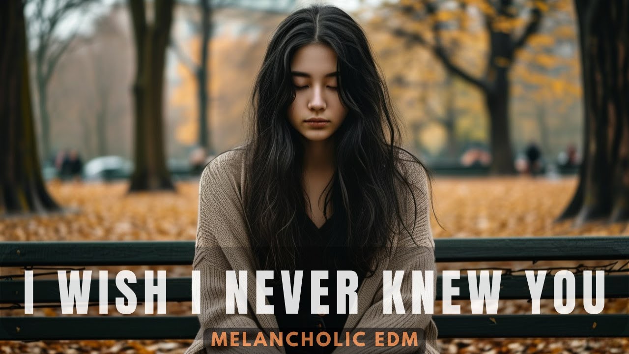 I Wish I Never Knew You | Melancholic EDM (No Copyright)