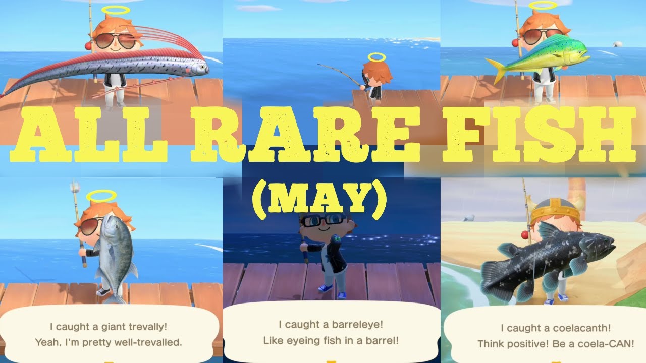 Catching ALL 5 Rare Fish [MAY] - Animal Crossing New Horizons