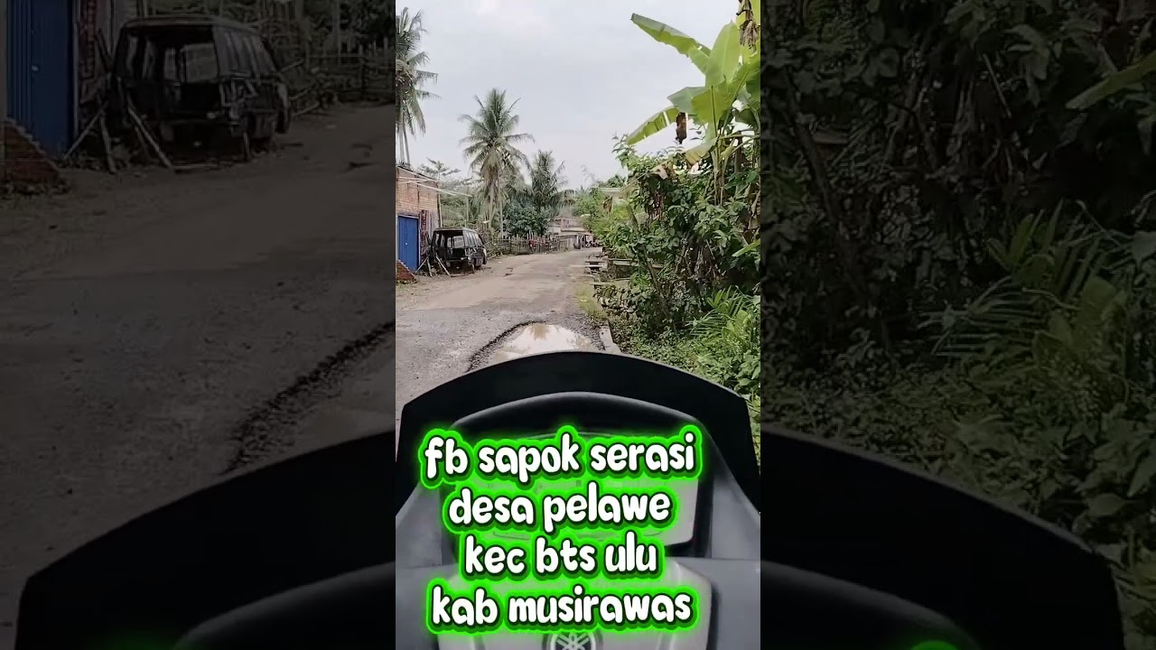 desa pelawe kec BTS ulu musirawwas sumsel.